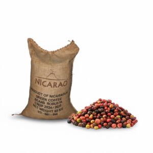 Café Robusta