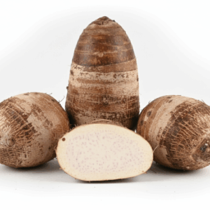 Malanga Coco Lila